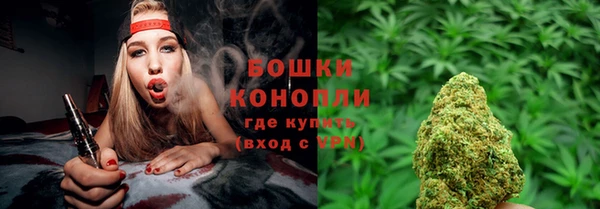 гидра Аркадак
