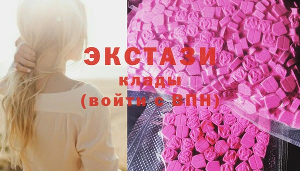 гидра Аркадак
