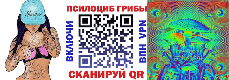где можно купить   Сосновый Бор  Псилоцибиновые грибы MAGIC MUSHROOMS 